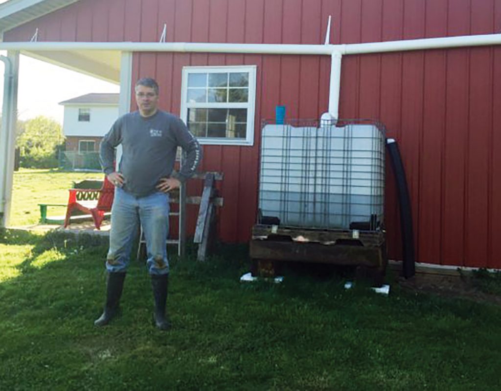 DIY Rainwater Chicken Watering System Backyard Poultry